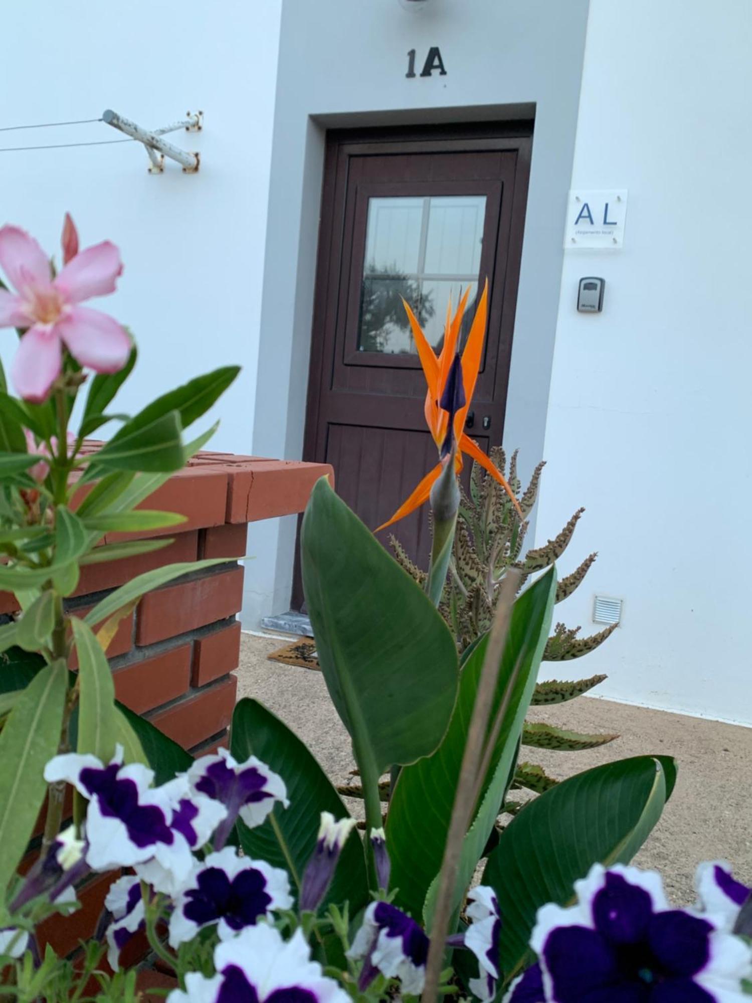 Al Ribeirinho Apartment Mértola Exterior photo